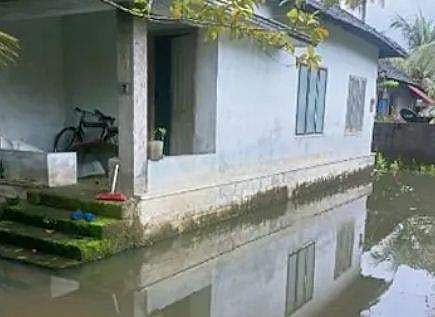 കനത്ത മഴ, കിഴക്കൻ വെള്ളത്തിന്റെ വരവ്; അപ്പർ കുട്ടനാട്ടിലെ താഴ്ന്ന പ്രദേശങ്ങൾ വെള്ളപ്പൊക്ക ഭീഷണിയിൽ