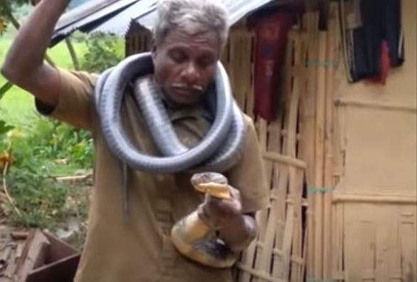വയലിൽ നിന്ന് രാജവെമ്പാലയെ കിട്ടി; കഴുത്തിൽ ചുറ്റി പ്രദർശനം; കടിയേറ്റ് 60കാരന് ദാരുണാന്ത്യം (വീഡിയോ) 