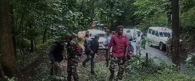 കഞ്ചാവ് തോട്ടം തേടിയിറങ്ങി  ഒരു രാത്രിമുഴുവന്‍ കാട്ടില്‍ക്കുടുങ്ങി; പൊലീസ് സംഘം തിരിച്ചെത്തി (വീഡിയോ)