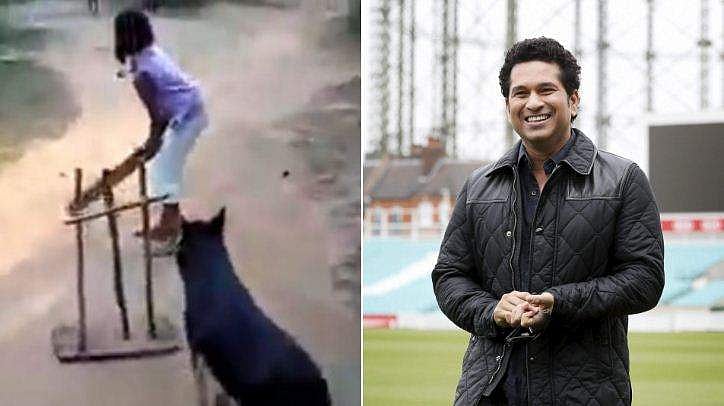 മികച്ച വിക്കറ്റ് കീപ്പറും ഫീൽഡറുമാണ് ഈ 'നായ!' പന്ത് പിടിക്കുന്നതിൽ അപാര കഴിവുള്ള ആളെന്ന് സച്ചിൻ (വീഡിയോ)