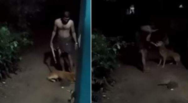 വടി കൊണ്ട് തല്ലിച്ചതച്ചു; വളർത്തു നായക്ക് യുവാവിന്റെ ക്രൂര മർദ്ദനം; കേസ്