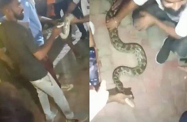 ബസില്‍ യാത്രക്കാര്‍ക്കൊപ്പം കൂറ്റന്‍ പെരുമ്പാമ്പ്; യാത്ര ചെയ്തത് 250 കിലോമീറ്റര്‍!