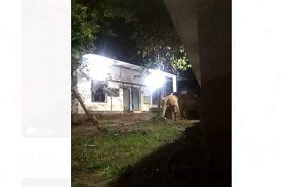 വാതില്‍ തകര്‍ത്ത് ഭക്ഷണ വസ്തുക്കള്‍ 'അടിച്ചുമാറ്റി', സ്‌കൂളില്‍ കൂട്ടത്തോടെ കാട്ടാനകള്‍ - വീഡിയോ 