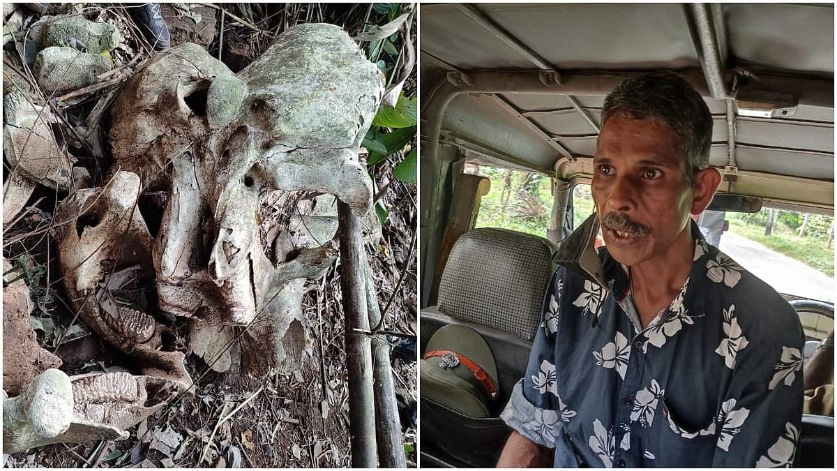 ആനക്കൊമ്പ് വില്‍പ്പന  സംഘത്തെ പിടികൂടി