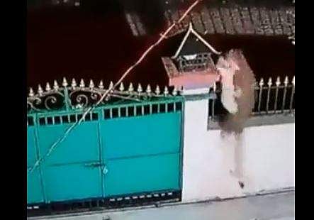 മതില്‍ ചാടിക്കടന്ന് പുള്ളിപ്പുലി വീട്ടിലേക്ക്; നായയെ കടിച്ചെടുത്ത് ഇരുട്ടില്‍ മറഞ്ഞു- വീഡിയോ 