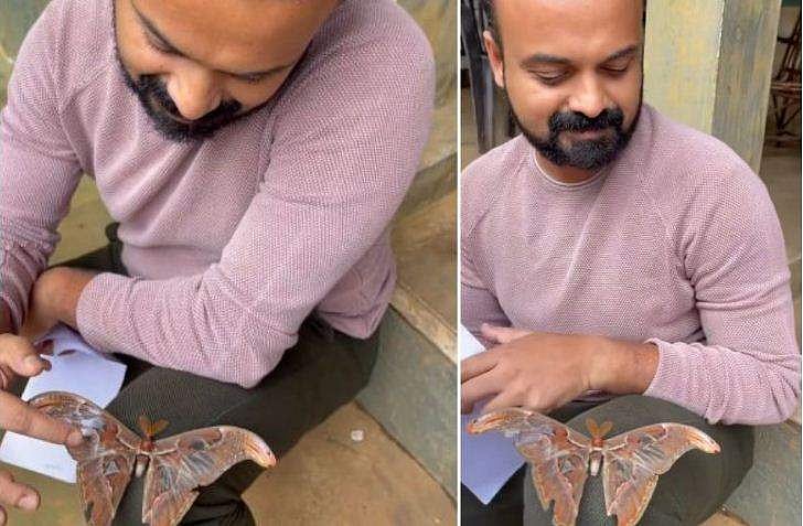 'ഭീമന്റെ വഴി ഒരു ഭീമൻ നാഗശലഭം'; ലൊക്കേഷനിലെത്തിയ അതിഥിയുടെ വിഡിയോ പങ്കുവച്ച് കുഞ്ചാക്കോ ബോബൻ 