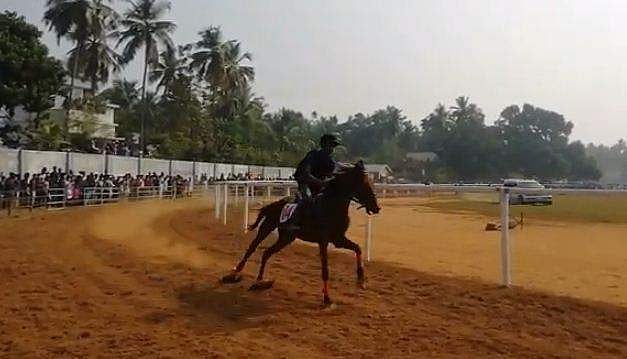 മലപ്പുറത്ത് കുതിരയോട്ട മത്സരം; കോവിഡ് മാനദണ്ഡങ്ങൾ കാറ്റിൽപ്പറത്തി തടിച്ചുകൂടിയത് ആയിരങ്ങൾ; കേസ്