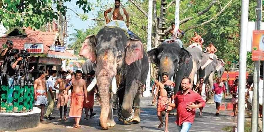ഗുരുവായൂർ ഉത്സവത്തിന് ഇന്ന് കൊടിയേറും; ആനയോട്ടം നിയന്ത്രണങ്ങളോടെ