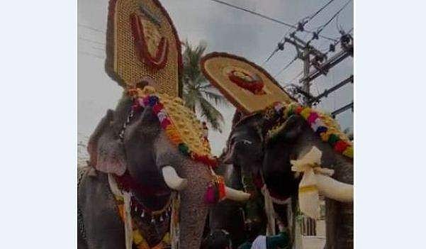 ആനകളുടെ തലപ്പൊക്ക മത്സരം; പാപ്പാൻമാർക്കെതിരെ കേസ്