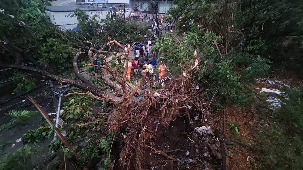 മധ്യകേരളത്തില്‍ കനത്ത കാറ്റും മഴയും: കൊച്ചിയില്‍ വ്യാപക നാശനഷ്ടം; മരങ്ങള്‍ ട്രാക്കില്‍ വീണു, ട്രെയിന്‍ ഗതാഗതം തടസ്സപ്പെട്ടു