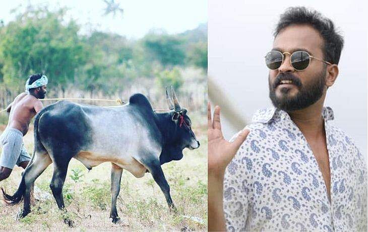 ജെല്ലിക്കെട്ട് കാളയുമായി മൽപ്പിടുത്തം; അപ്പാനി ശരത്തിന്റെ ചിത്രങ്ങൾ 