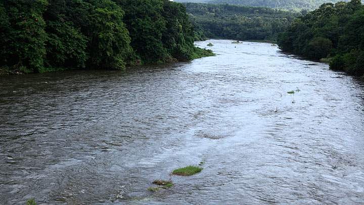 ശബരിമല കുംഭ മാസ പൂജ; കുള്ളാർ അണക്കെട്ട് തുറക്കും; പമ്പാ തീരത്തുള്ളവർക്ക് ജാ​ഗ്രതാ നിർദ്ദേശം