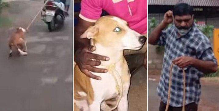 വളർത്തു നായയെ ബൈക്കിൽ കെട്ടി വലിച്ച സംഭവം; ഉടമ അറസ്റ്റിൽ