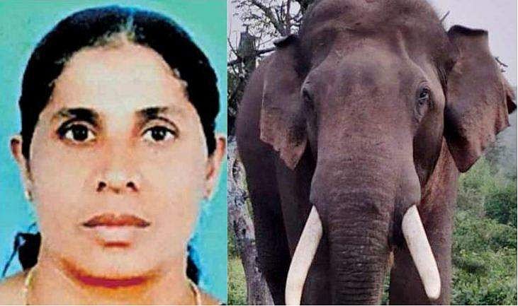 വിറക് ശേഖരിക്കുന്നതിനിടെ കാട്ടാനയുടെ ആക്രമണം; വീട്ടമ്മയ്ക്ക് ദാരുണാന്ത്യം; പ്രതിഷേധവുമായി നാട്ടുകാർ തെരുവിൽ