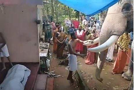 ഒരു നോക്കു നോക്കി, തുമ്പിക്കൈ രണ്ടു വട്ടം ചുഴറ്റി ബ്രഹ്മദത്തന്‍ തിരിഞ്ഞുനടന്നു; ആനയുടെ സ്‌നേഹം, കണ്ണീര്‍ക്കാഴ്ച-വിഡിയോ