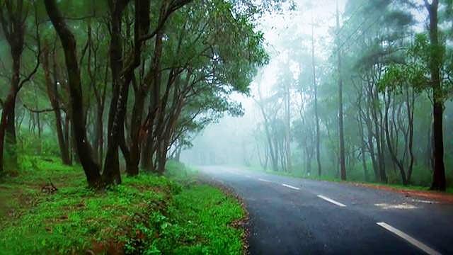 പൊന്‍മുടിയില്‍ മണ്ണിടിച്ചില്‍; ഗതാഗതം നിരോധിച്ചു