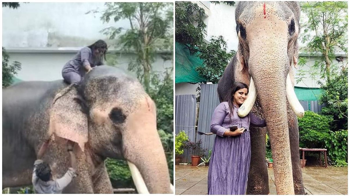 ആ സ്വപ്‌നവും നടന്നു; സായി ടീച്ചര്‍ക്ക് മുന്നില്‍ 'തങ്കുപൂച്ച'യായി 'ഗണേശന്‍ ആന'; സവാരി വൈറല്‍