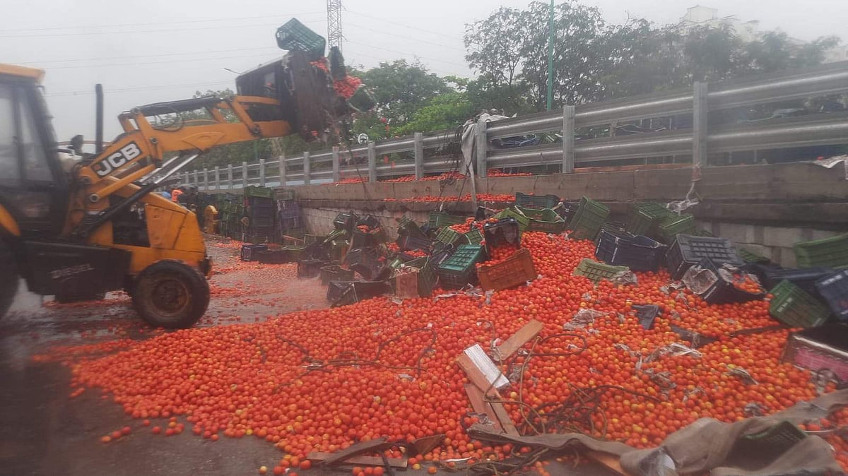 എക്സ്പ്രസ് ഹൈവേയിൽ ട്രക്ക് മറിഞ്ഞു; റോഡിലായത് 20 ടൺ തക്കാളി; വൻ ​ഗതാ​ഗതക്കുരുക്ക് (വീഡിയോ)