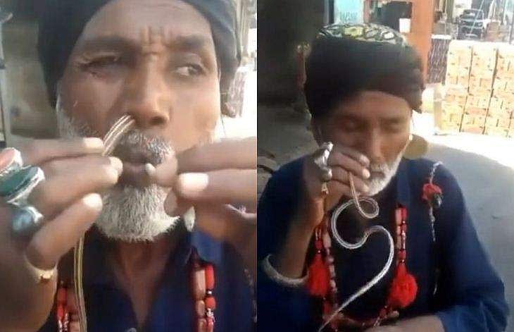 പാമ്പിനെ മൂക്കിലൂടെ കയറ്റി വായിലൂടെ പുറത്തേക്ക്; 'ലോല ഹൃദയർ കാണരുത്!' വിഡിയോ 