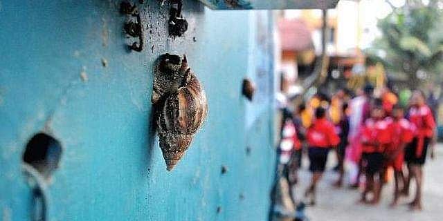 ആഫ്രിക്കൻ ഒച്ചിനെ പിടിക്കാൻ മത്സരം, വിജയിക്ക് ഓണം ബംബർ; ഇത് വെറും കളിയല്ല