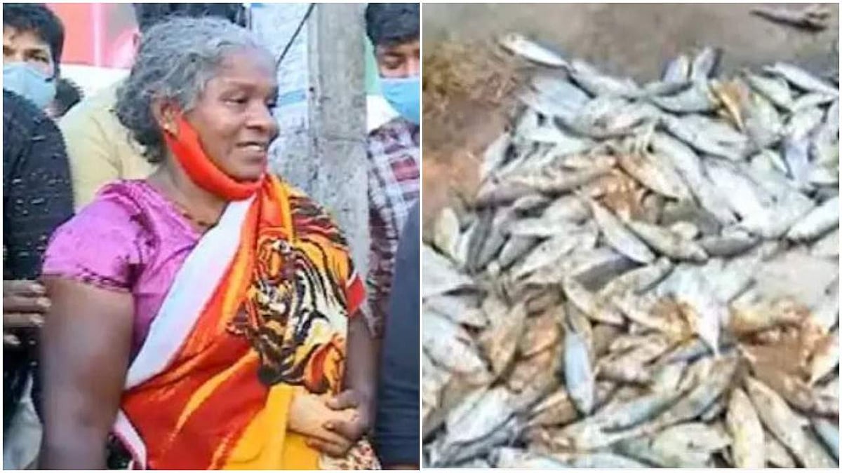 വഴിയോര കച്ചവടക്കാരിയുടെ മീന് വലിച്ചെറിഞ്ഞു; വീണ്ടും ക്രൂരത