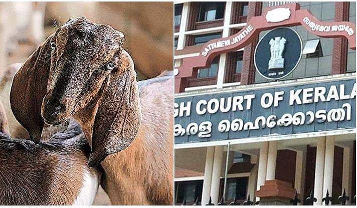 ആടിനെ വളര്‍ത്തിയാല്‍ സ്റ്റാറ്റസ് പോകുമോ ?: ഹൈക്കോടതി