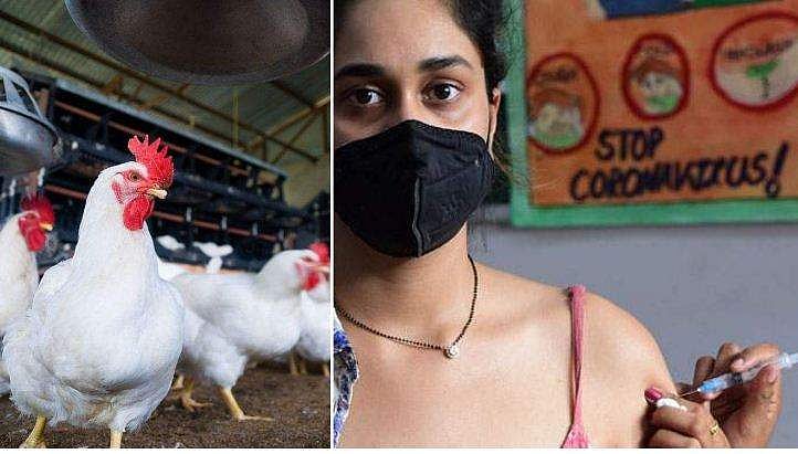 വാക്‌സിന്‍ എടുത്തവര്‍ ചിക്കന്‍ കഴിക്കാമോ ?; വാക്‌സിനും ടിടിയും ഒരുമിച്ചെടുത്താല്‍ മരിച്ചു പോകുമോ ?; ആരോഗ്യ വിദഗ്ധര്‍ വിശദീകരിക്കുന്നു