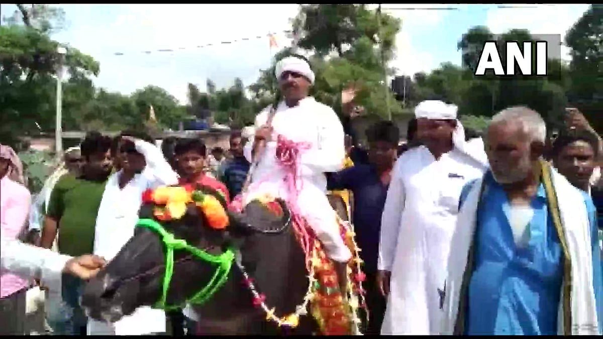 പെട്രോളടിക്കാന്‍ കാശില്ല; നാമനിര്‍ദേശ പത്രിക സമര്‍പ്പിക്കാന്‍ സ്ഥാനാര്‍ഥിയെത്തിയത്  പോത്തിന്റെ പുറത്ത്: വീഡിയോ