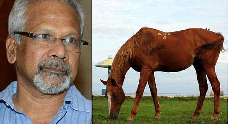 'പൊന്നിയിൻ സെൽവൻ' ഷൂട്ടിങ്ങിനിടെ കുതിര ചത്തു, മണിരത്നത്തിന്റെ നിർമാണ കമ്പനിക്കെതിരെ കേസ്