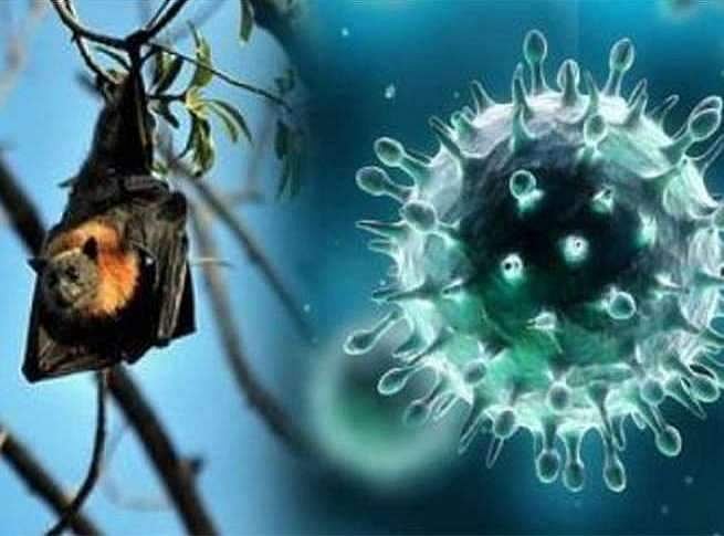 കോഴിക്കോട് നിപ ലക്ഷണങ്ങളോടെ ചികിത്സയിലായിരുന്ന 12 വയസുകാരൻ മരിച്ചു