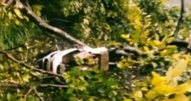 ഓടിക്കൊണ്ടിരുന്ന സ്കൂട്ടറിന് മുകളിലേക്ക് മരം ഒടിഞ്ഞു വീണു; യാത്രക്കാർ അത്ഭുതകരമായി രക്ഷപ്പെട്ടു