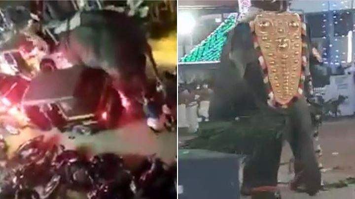 കൂർക്കഞ്ചേരിയിൽ തൈപ്പൂയ ആഘോഷത്തിനിടെ ആനയിടഞ്ഞു; പരിഭ്രാന്തിയുടെ അര മണിക്കൂർ; (വീഡിയോ)
