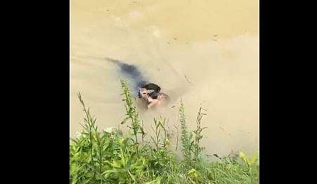 പുഴയില്‍ മുങ്ങിത്താഴ്ന്ന് മാന്‍കുട്ടി, രക്ഷകനായി നായ- വീഡിയോ 