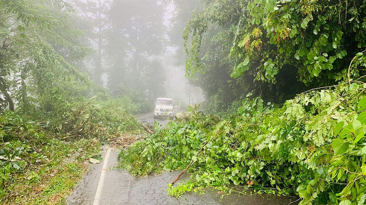മലവെള്ളപ്പാച്ചില്‍; ഇടുക്കി-നേര്യമംഗലം പാതയില്‍ ഗതാഗത നിയന്ത്രണം