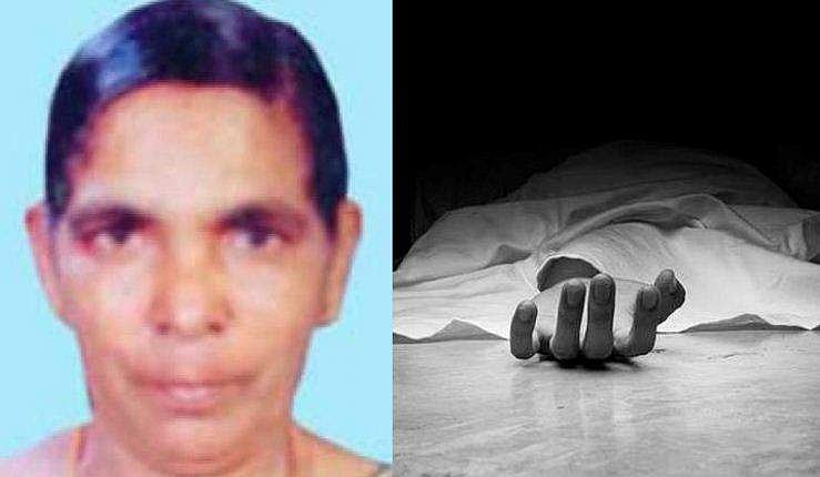 അമ്മ കട്ടിലിൽ നിന്നുവീണ് പരുക്കേറ്റെന്ന് മകൻ, അയൽവാസിക്ക് സംശയം; പക്ഷാഘാതം വന്ന 68കാരിയെ കൊന്ന മകൻ പിടിയിൽ