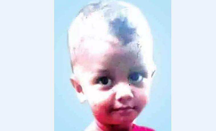 മലപ്പുറത്ത് തെങ്ങ് തലയിൽ വീണ് രണ്ടു വയസുകാരൻ മരിച്ചു