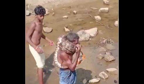 മദ്യലഹരിയില്‍ പെരുമ്പാമ്പിനെ എടുത്തു കഴുത്തില്‍ ചുറ്റി; ഒടുവില്‍- വീഡിയോ 