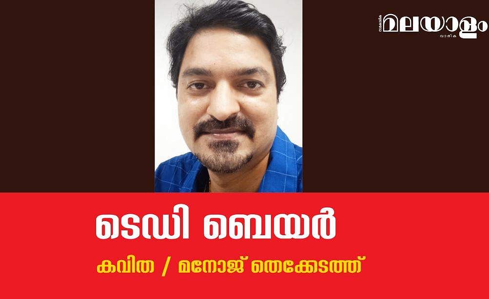 'ടെഡി ബെയര്‍'- മനോജ് തെക്കേടത്ത് എഴുതിയ കവിത