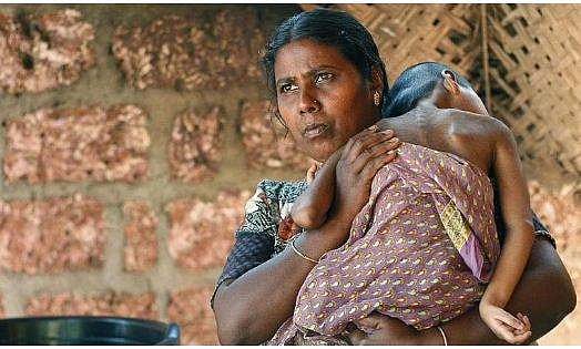 എന്‍ഡോസള്‍ഫാന്‍: മെഡിക്കല്‍ ക്യാമ്പിനുള്ള നടപടി ക്രമങ്ങള്‍ ഈ മാസം ആരംഭിക്കും