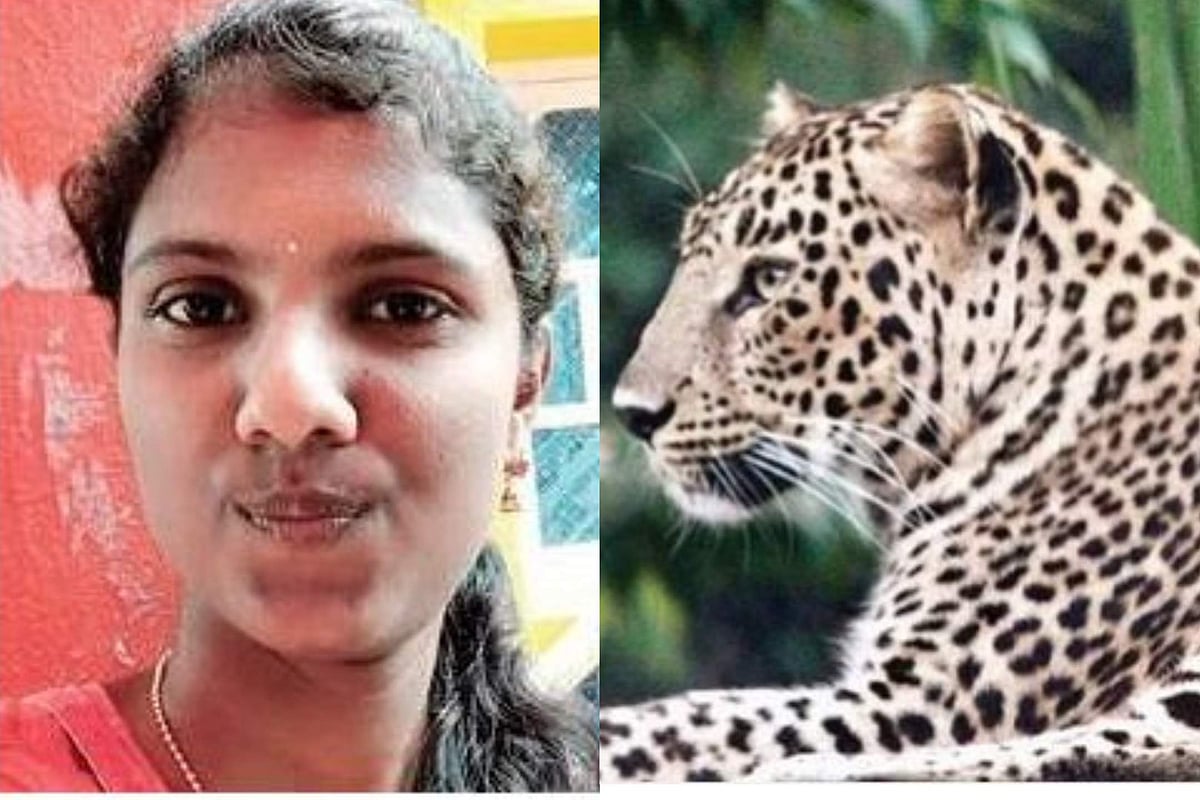 കോളജ് വിദ്യാര്‍ത്ഥിനിയെ പുലി കടിച്ചു കൊന്നു