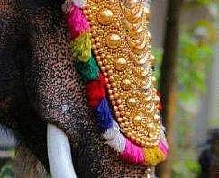 ആയ്യപ്പൻ വിളക്കിനിടെ ആന ഇടഞ്ഞു; ബൈക്കുകളും കടയും തകർത്തു; അഞ്ച് പേർക്ക് പരിക്ക്