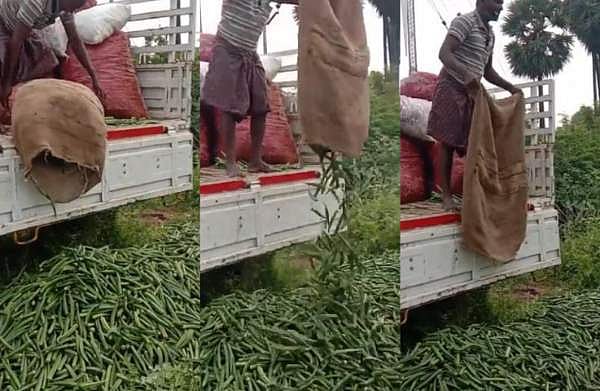 വെണ്ടയ്ക്ക വില കിലോയ്ക്ക് രണ്ട് രൂപ; 3000 കിലോയോളം റോഡരികില്‍ തള്ളി കര്‍ഷകര്‍, വിഡിയോ വൈറല്‍