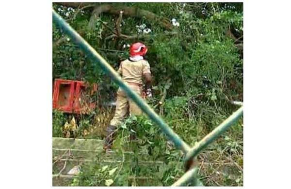 കായികമേളയ്ക്കിടെ സ്റ്റേഡിയത്തില് മരച്ചില്ല ഒടിഞ്ഞുവീണു; രണ്ടു വിദ്യാര്ത്ഥികള്ക്കും പരിശീലകനും പരിക്ക്