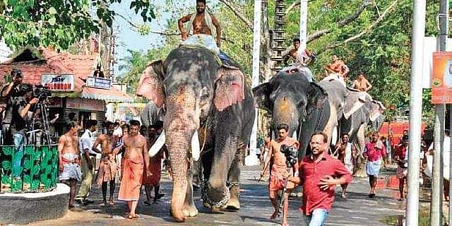 ആനയോട്ട ചടങ്ങിന് ഒരാന മാത്രം: ജില്ലാ ഭരണകൂടത്തിന്റെ നിര്ദേശം അംഗീകരിച്ച് ഗുരുവായൂര് ദേവസ്വം; ആറാട്ടിന് മൂന്നാനകളെ പങ്കെടുപ്പിക്കാന് അനുമതി തേടും