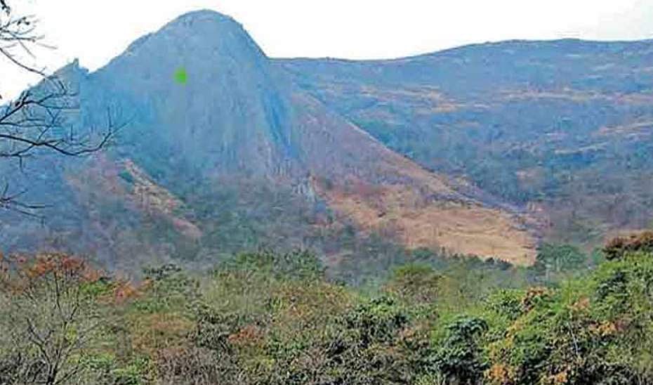 ചേറാട് മലയില്‍ നിന്ന് ഒരാളെ കണ്ടെത്തി, കൂടുതൽ പേരുണ്ടെന്ന് നാട്ടുകാർ; നടപടി ആവശ്യപ്പെട്ട് പ്രതിഷേധം