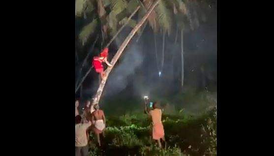 തെങ്ങിന് മുകളിലേക്ക് 'കൂളായി' ഓടിക്കയറി തെയ്യം; വൈറല്‍ വീഡിയോ 
