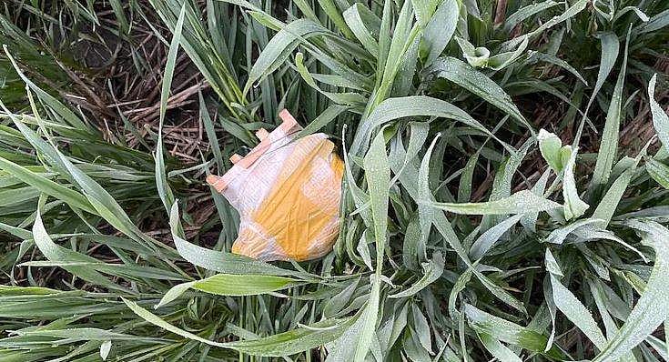 മയക്കുമരുന്നും തോക്കുമായി പാക് ഡ്രോണ്‍; വെടിവെച്ചു വീഴ്ത്തി സൈന്യം 