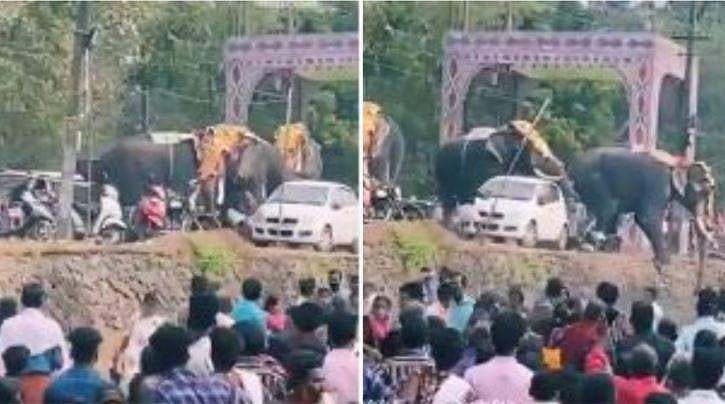തിടമ്പേറ്റാൻ നിർത്തിയ ആനകൾ പരസ്പരം കുത്തി; ചിതറി ഓടി ജനം; പരിഭ്രാന്തി (വീഡിയോ)