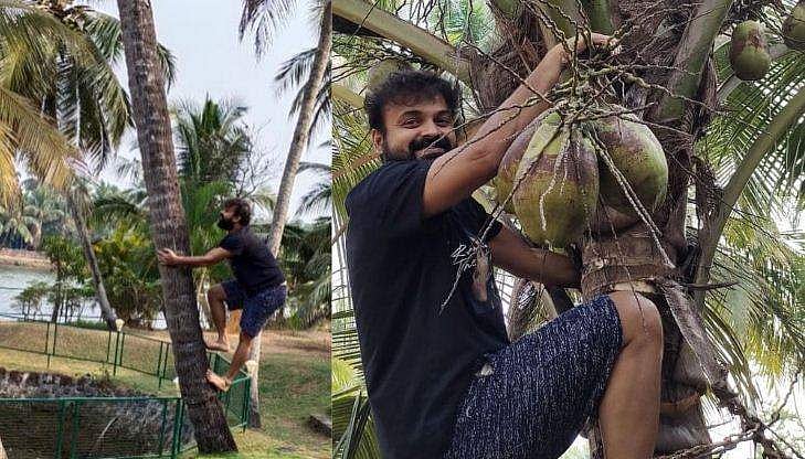 ഷെയ്ക്ക് കുടിക്കണം, തെങ്ങിൽ കയറി കരിക്കിട്ട് കുഞ്ചാക്കോ ബോബൻ; പിന്നാലെ എയറിൽ കയറ്റി ആരാധകരും