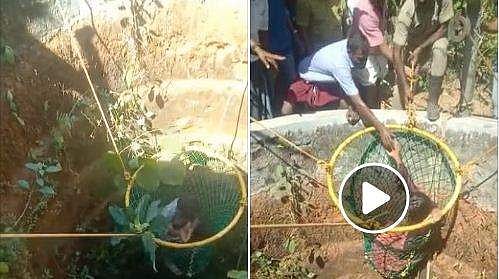 കുഞ്ഞു കിണറ്റില്‍ വീണു, രക്ഷിക്കാനായി യുവതി പിന്നാലെ ചാടി; ഒടുവില്‍... വിഡിയോ